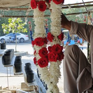 Imperial Red Rose & White Chrysanthemum Handcrafted Haar