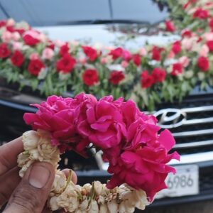 Crimson Rose and double layer  Motiya Bud  Gajra