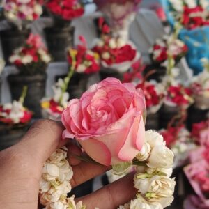 Blush pink Rose and Motiya Bud Gajra