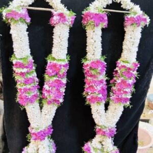 light purple and white haar